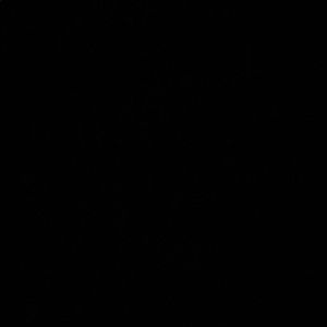 Meet your Posher, Jamya